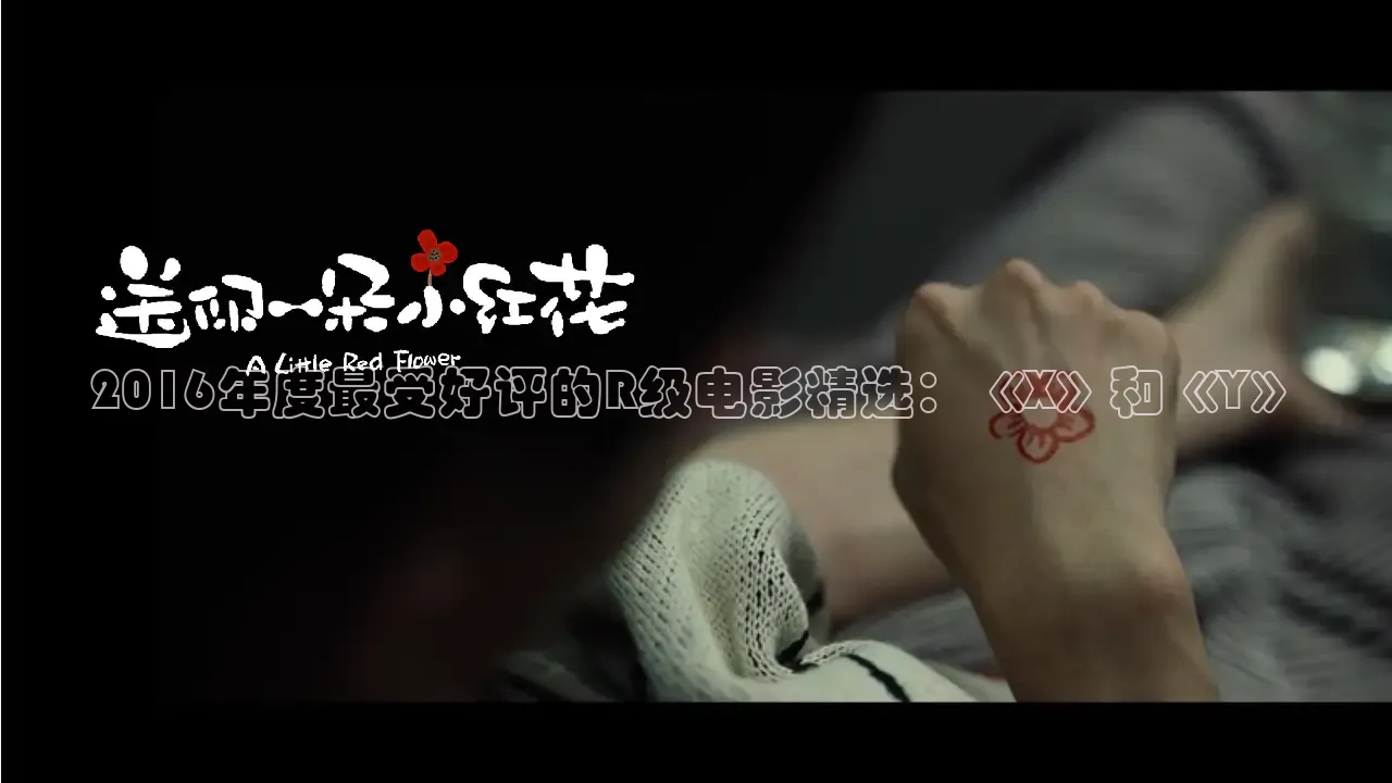 2016年度最受好评的R级电影精选：《X》和《Y》